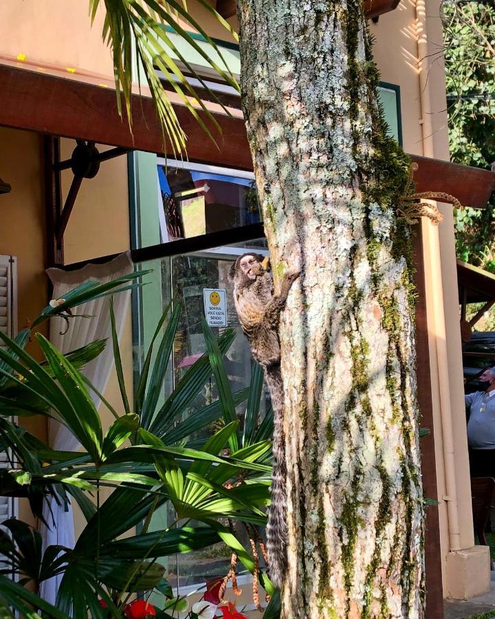 Pousada Pataca De Prata - Pousada De Epoca Petrópolis Eksteriør bilde